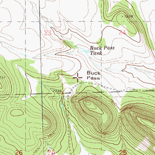 Topographic Map of Buck Pass, NM