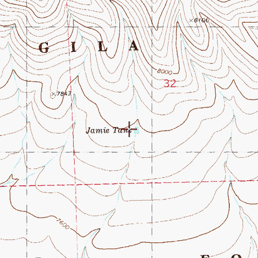 Topographic Map of Jamie Tank, NM