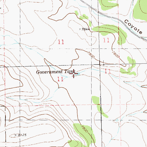 Topographic Map of Government Tank, NM