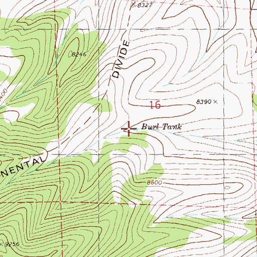 Topographic Map of Burl Tank, NM
