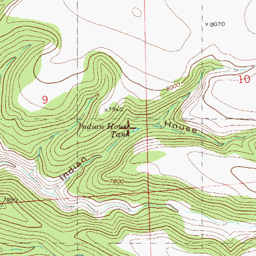 Topographic Map of Indian House Tank, NM