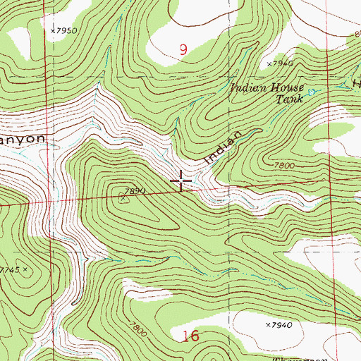 Topographic Map of Indian House Canyon, NM