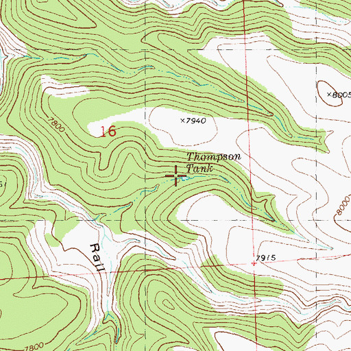 Topographic Map of Thompson Tank, NM
