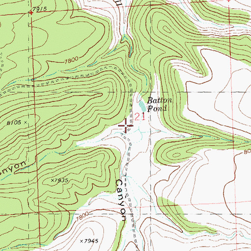 Topographic Map of Batton Canyon, NM