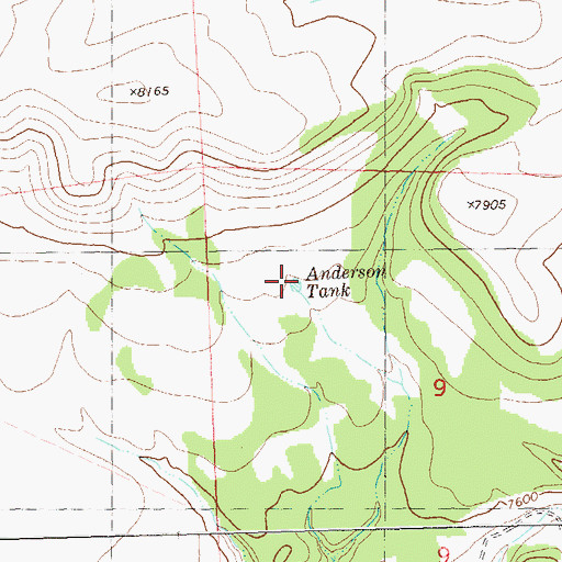 Topographic Map of Anderson Tank, NM