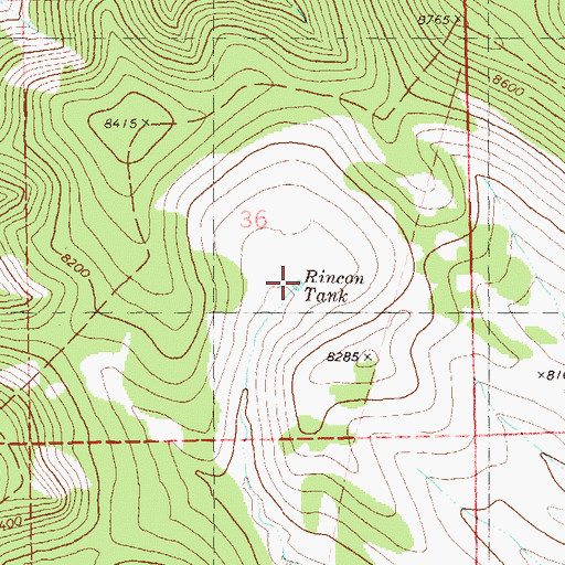 Topographic Map of Rincon Tank, NM