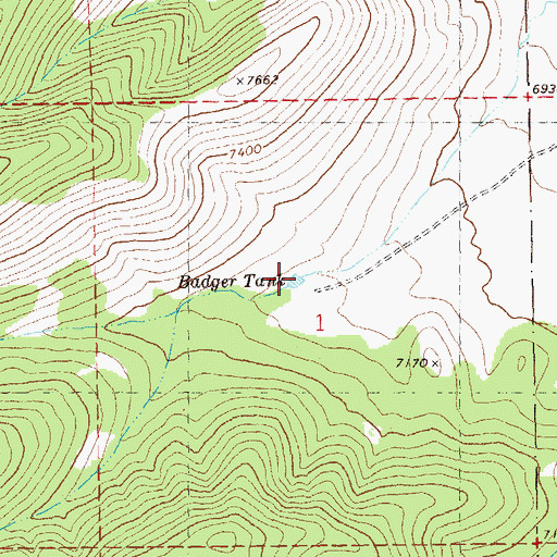 Topographic Map of Badger Tank, NM