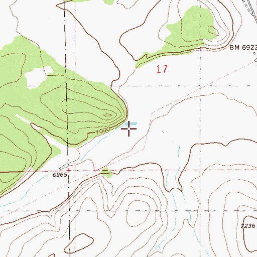 Topographic Map of Y Canyon, NM