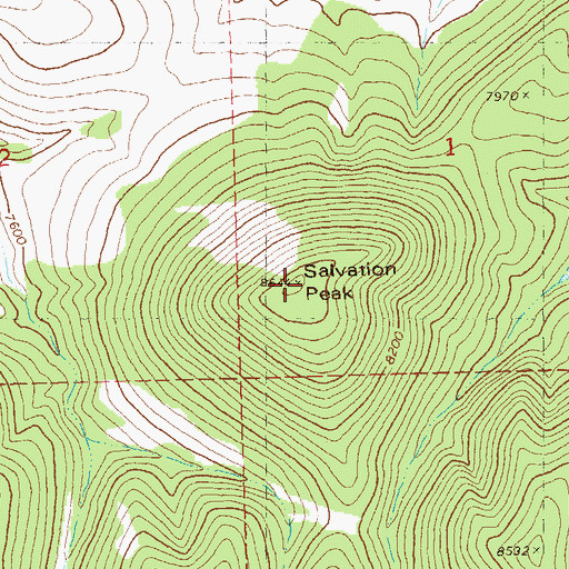 Topographic Map of Salvation Peak, NM