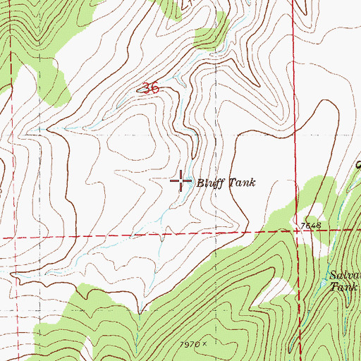 Topographic Map of Bluff Tank, NM