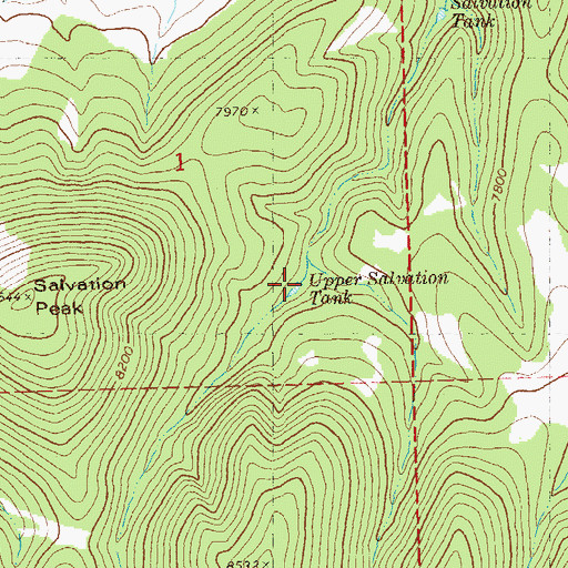 Topographic Map of Upper Salvation Peak, NM