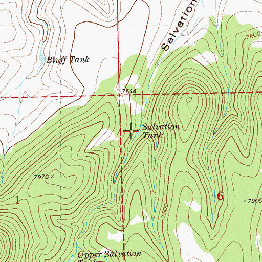 Topographic Map of Salvation Tank, NM