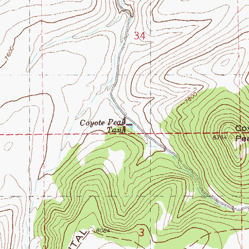 Topographic Map of Coyote Peak Tank, NM