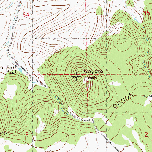 Topographic Map of Coyote Peak, NM