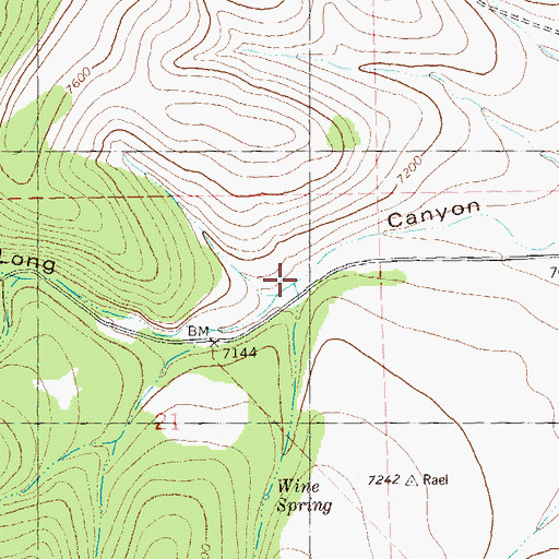 Topographic Map of Wine Canyon, NM