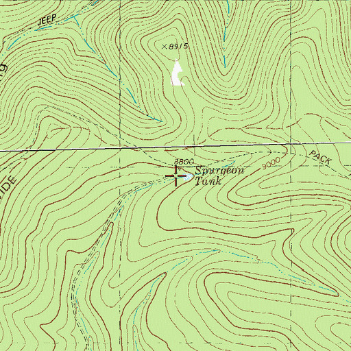 Topographic Map of Spurgeon Tank, NM