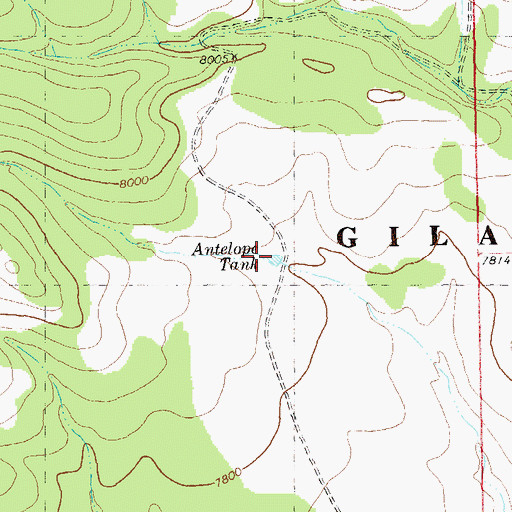 Topographic Map of Antelope Tank, NM