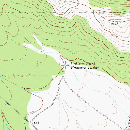 Topographic Map of Collins Park Pasture Tank, NM