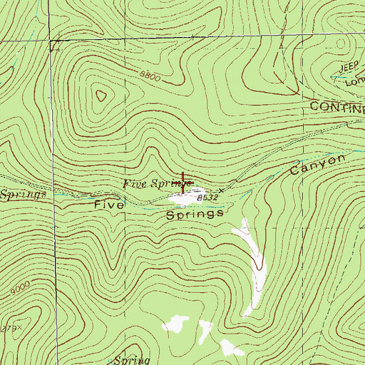 Topographic Map of Five Springs, NM