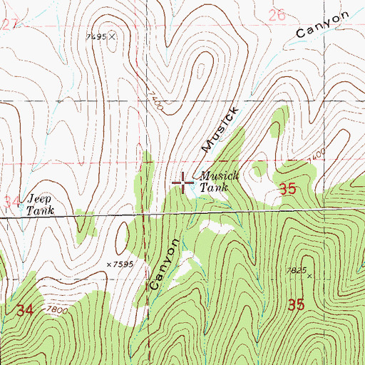 Topographic Map of Musick Tank, NM