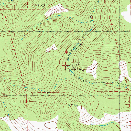 Topographic Map of T H Spring, NM