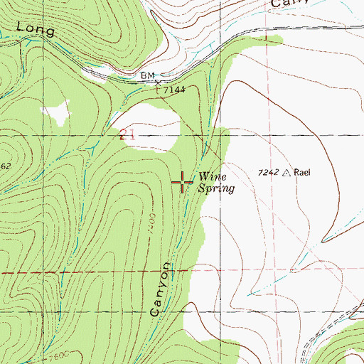 Topographic Map of Wine Spring, NM