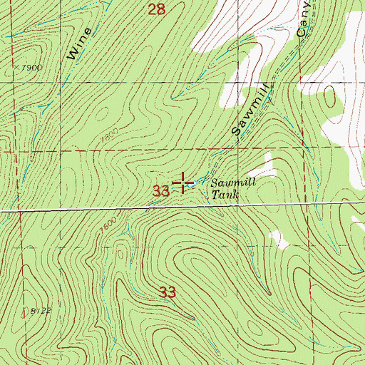 Topographic Map of Sawmill Tank, NM