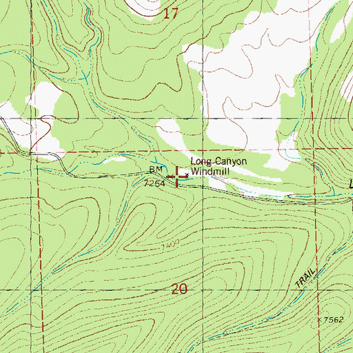 Topographic Map of Long Canyon Windmill, NM