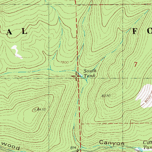 Topographic Map of South Tank, NM