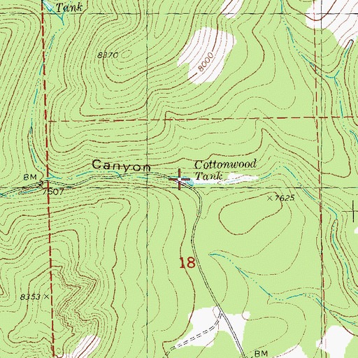 Topographic Map of Cottonwood Tank, NM