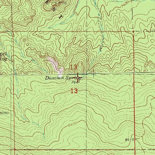 Topographic Map of Damian Spring, NM