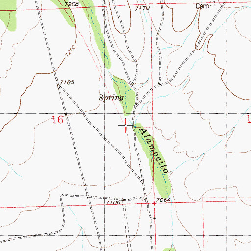 Topographic Map of South Fork Alamocito Canyon, NM