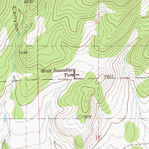 Topographic Map of West Boundary Tank, NM