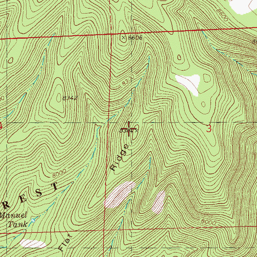 Topographic Map of Flat Ridge, NM