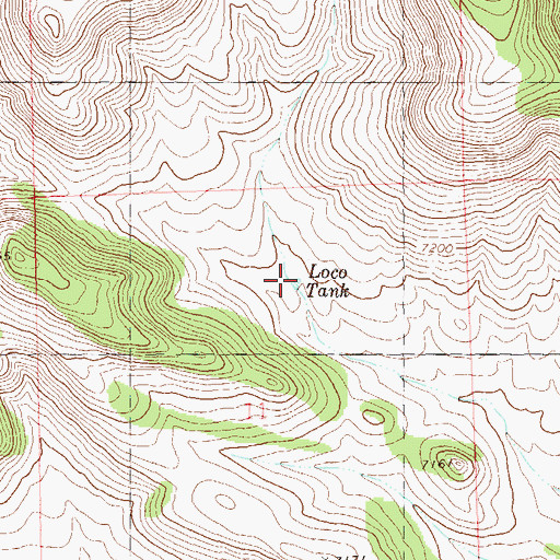Topographic Map of Loco Tank, NM