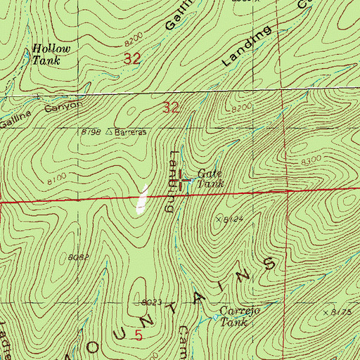 Topographic Map of Gate Tank, NM