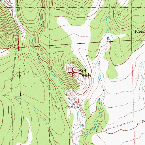 Topographic Map of Bell Peak, NM