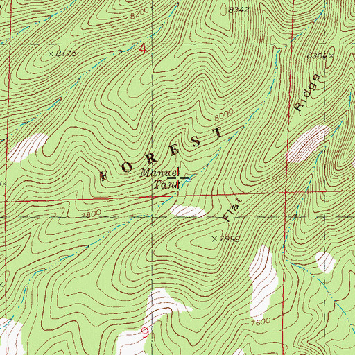 Topographic Map of Manuel Tank, NM