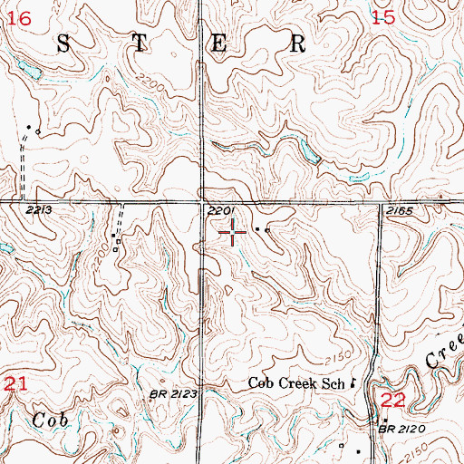 Topographic Map of Township of Webster, NE