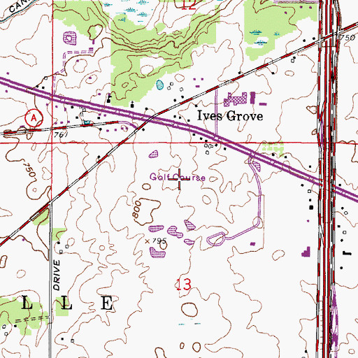 Topographic Map of Ives Grove Golf Links, WI
