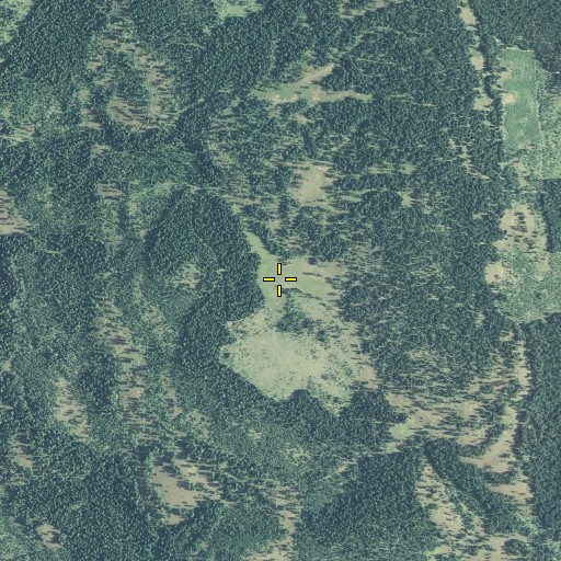 Aerial/Satellite Image of Getchel Meadows, OR