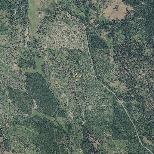 Aerial/Satellite Image of Fox Hill, OR