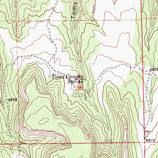 Topographic Map of Toms Canyon Spring, CO