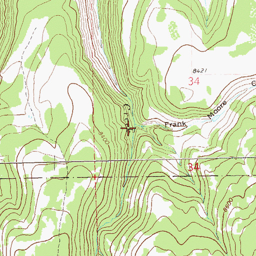Topographic Map of Frank Moore Canyon, CO
