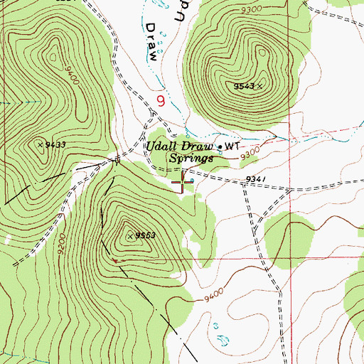 Topographic Map of Udall Draw Spring Number 1, AZ