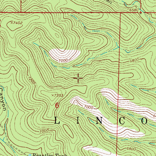 Topographic Map of Lincoln National Forest, NM