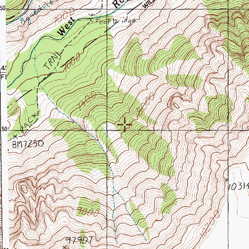 Topographic Map of Custer National Forest, MT