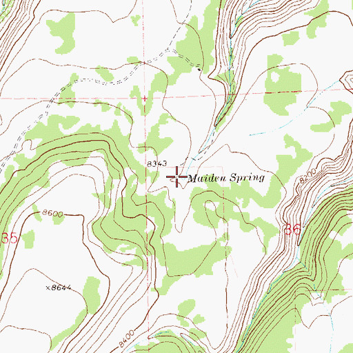 Topographic Map of Maiden Spring, CO