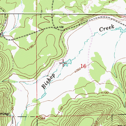 Topographic Map of Bishop Meadows, OR