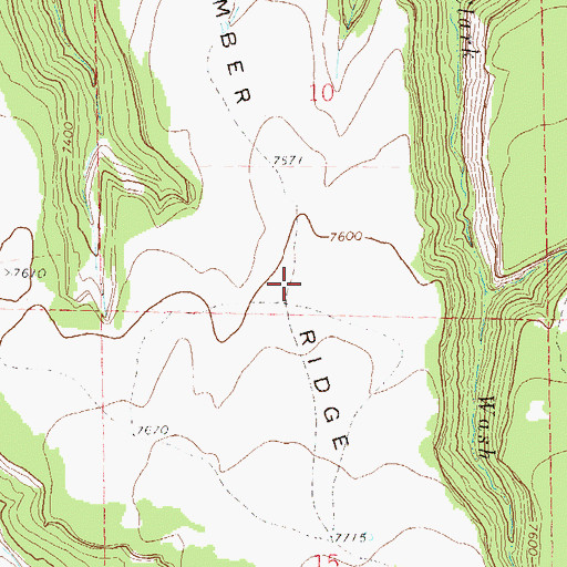 Topographic Map of Timber Ridge, CO